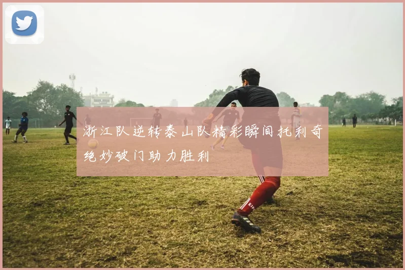 浙江队逆转泰山队精彩瞬间托利奇绝妙破门助力胜利