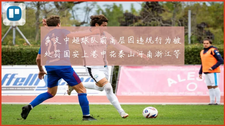 多支中超球队前高层因违规行为被处罚国安上港申花泰山河南浙江等队受影响